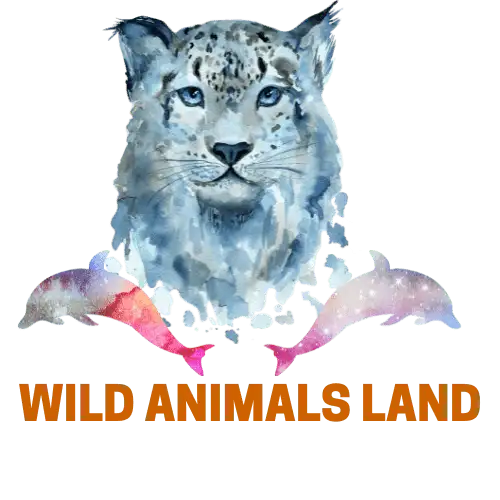 Wildanimalsland